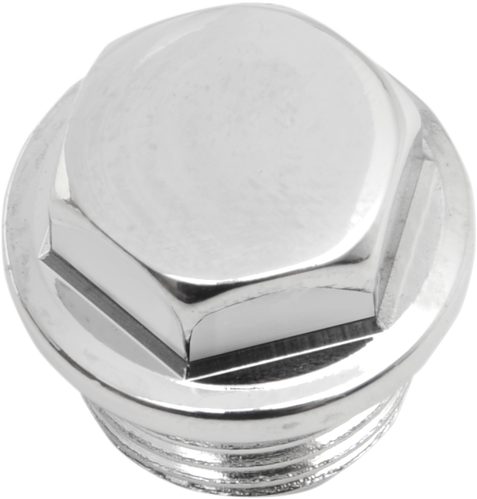 COLONY Timing Plug - Crankcase/Oil Tank - Hex/Oversized - 5/8"-18 8610-1