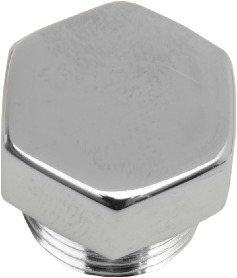 COLONY Timing Plug - Crankcase - Hex - 5/8"-18 8114-1