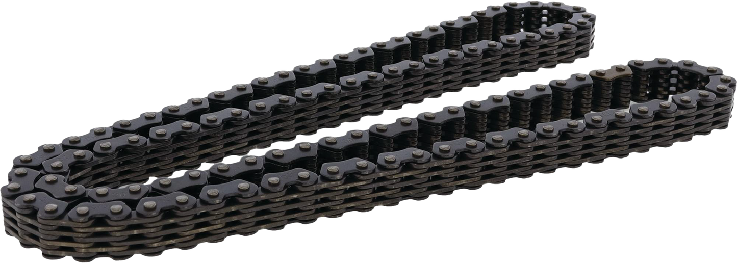 Cam Chain