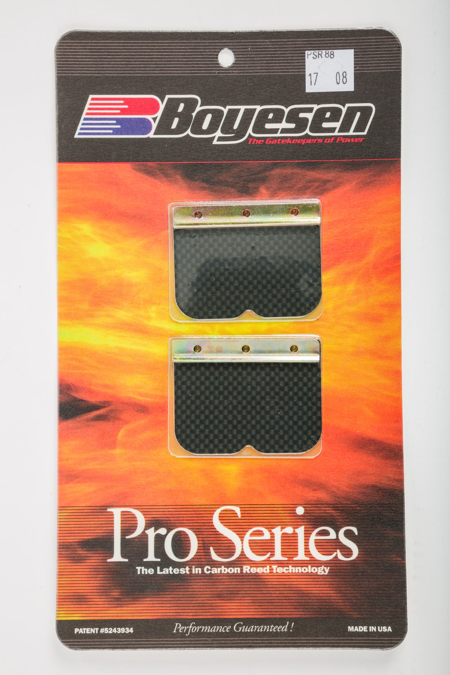 Motorcycle Pro Reeds