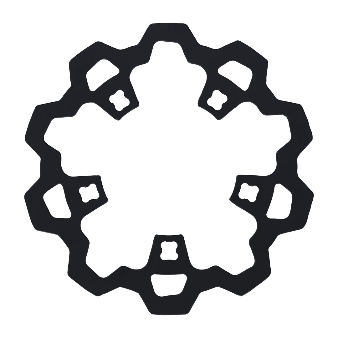 Enforcer 1 Piece Rotor Front Black 11.8