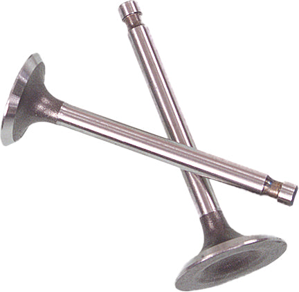 Valve Set Trx300fw '88 00