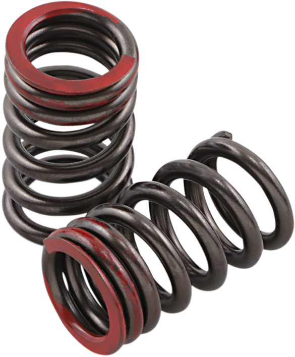 XCELDYNE Valve Springs - Exhaust - Honda PSIMX2401