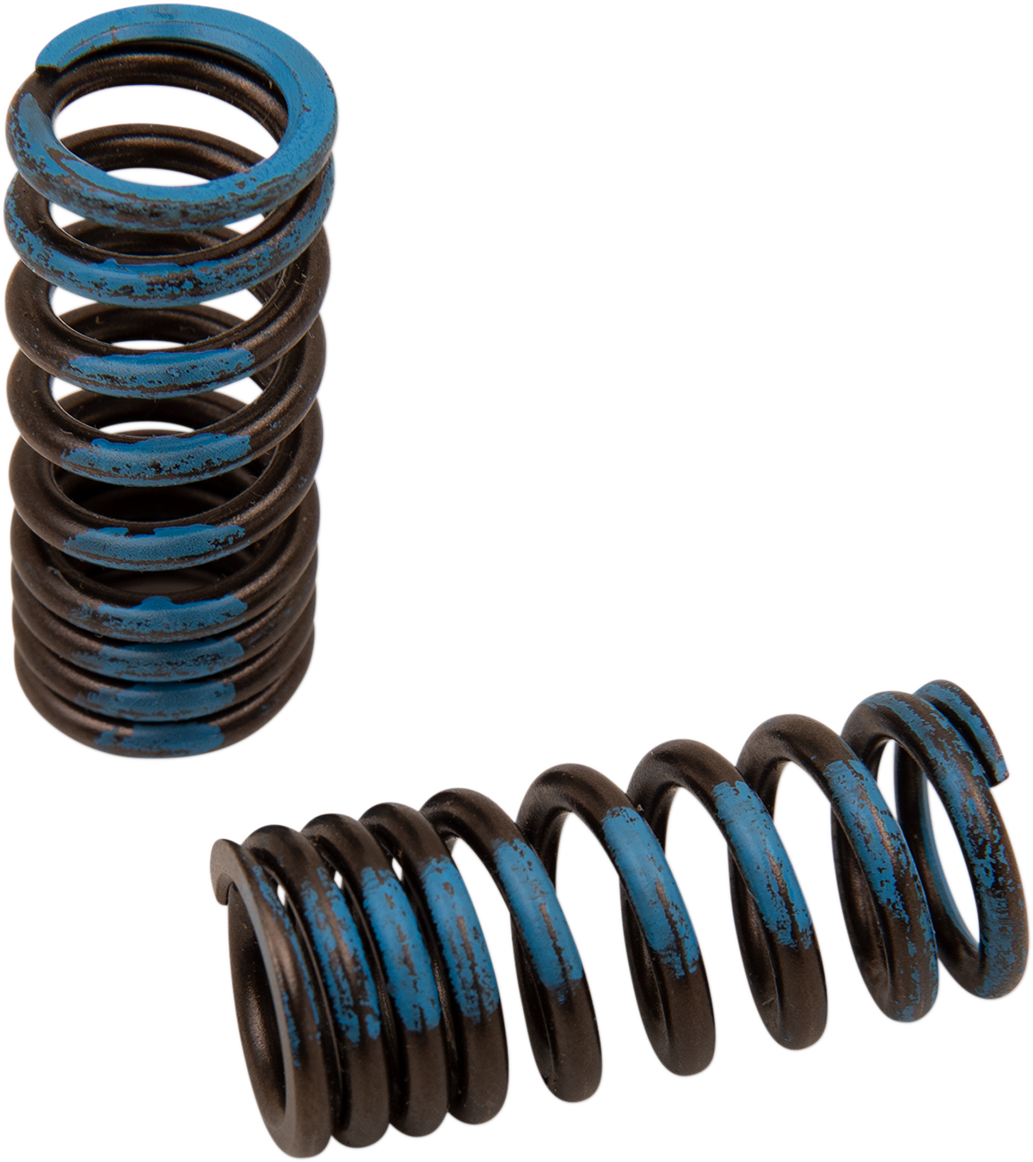 XCELDYNE Valve Springs - Intake - Honda PSIMX2006