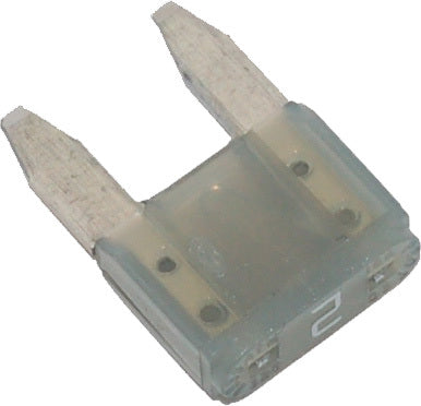 2 Amp Mini Fuse 5 Pk