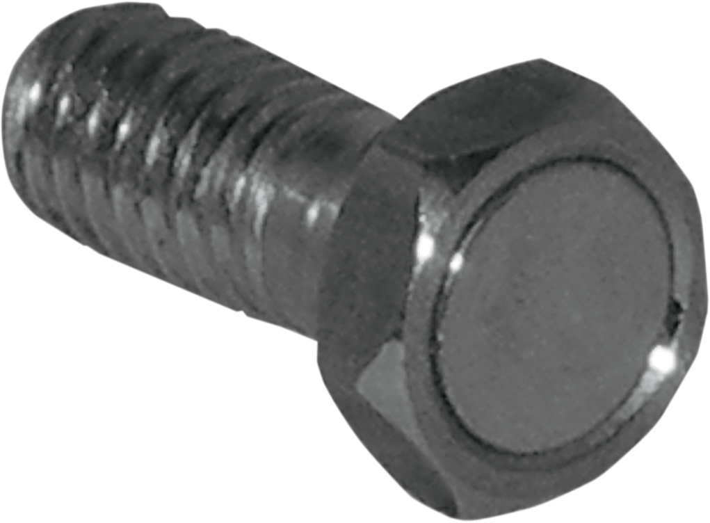 KOSO NORTH AMERICA Speed Sensor Magnet Bolt - M8 x P1.25 x 22.5 mm L BF010820