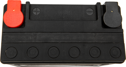 Battery Ytx20l/Ytx20hl 320cca Factory Activated Sealed Agm
