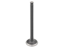 Exhaust Valve Suz