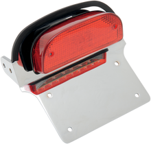 RICK DOSS Taillight/License Plate Assembly - Harley Davidson L24-0430K