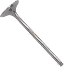 DEL WEST Exhaust Valve - Honda CRF250R/X '08-'09 DW-CRF250R-EV08