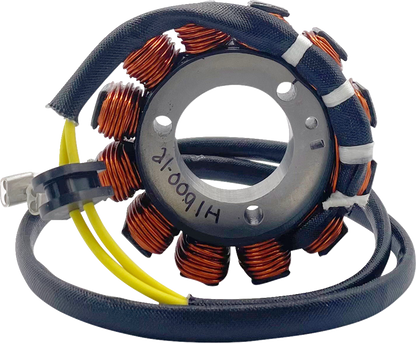 RICK'S MOTORSPORT ELECTRIC Stator - Hot Shot - KTM/Gas Gas/Husqvarna 21-0091H