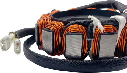 RICK'S MOTORSPORT ELECTRIC Stator - Hot Shot - KTM/Gas Gas/Husqvarna 21-0091H