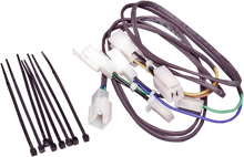 RIVCO PRODUCTS Wiring Sub-Harness - GL1800 GL18007-38