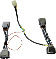 RIVCO PRODUCTS Wiring Sub-Harness - GL1800 GW007-38