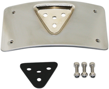 CUSTOM DYNAMICS Radius License Plate Mount - Chrome CD-PFM-C