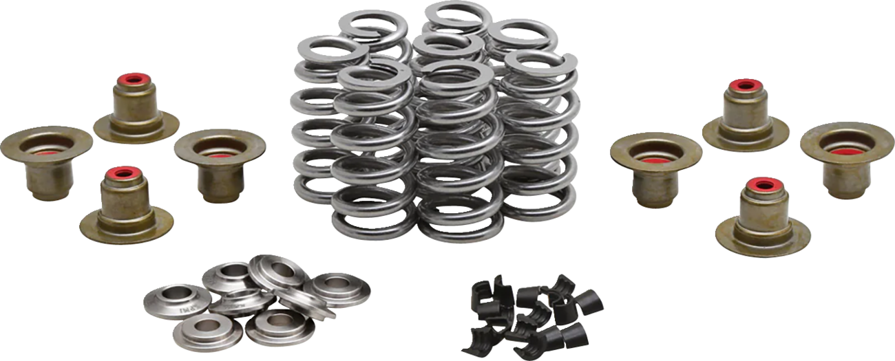 KIBBLEWHITE Beehive Spring Kit - 0.640" Lift - M8 | CVO 20-24350