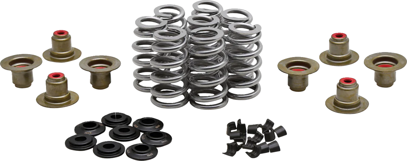 KIBBLEWHITE Beehive Spring Kit - 0.640" Lift - M8 | CVO 20-24400