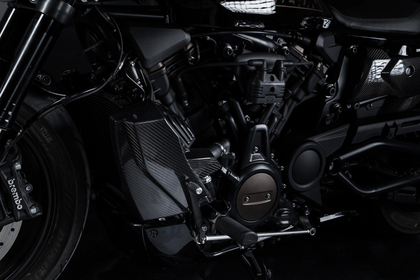 Zard Carbon Fiber Radiator Covers and Side Panel Kit for Harley Davidson Sportster S 1250