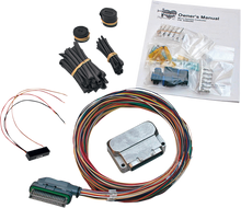 THUNDERMAX Micro Harness Controller EA4360
