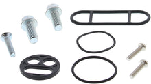 Fuel Tap Repair Kit