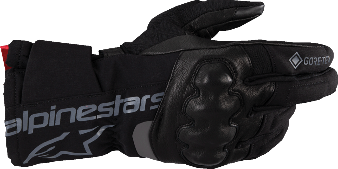 ALPINESTARS WT-4 Gore-Tex® Gloves - Black - Large 3520425-10-L