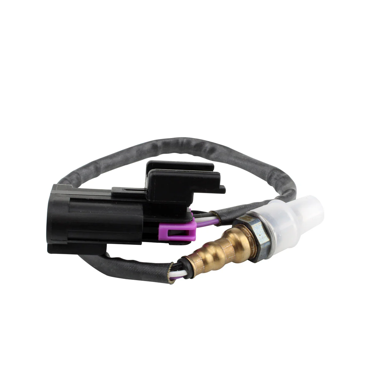 Oxygen Sensor Pol