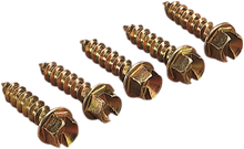 GOLD SCREWS Ice Screws - Gold - 7/16" - 250 1250-0053