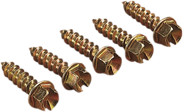GOLD SCREWS Ice Screws - Gold - 5/8" - 250 1250-0057