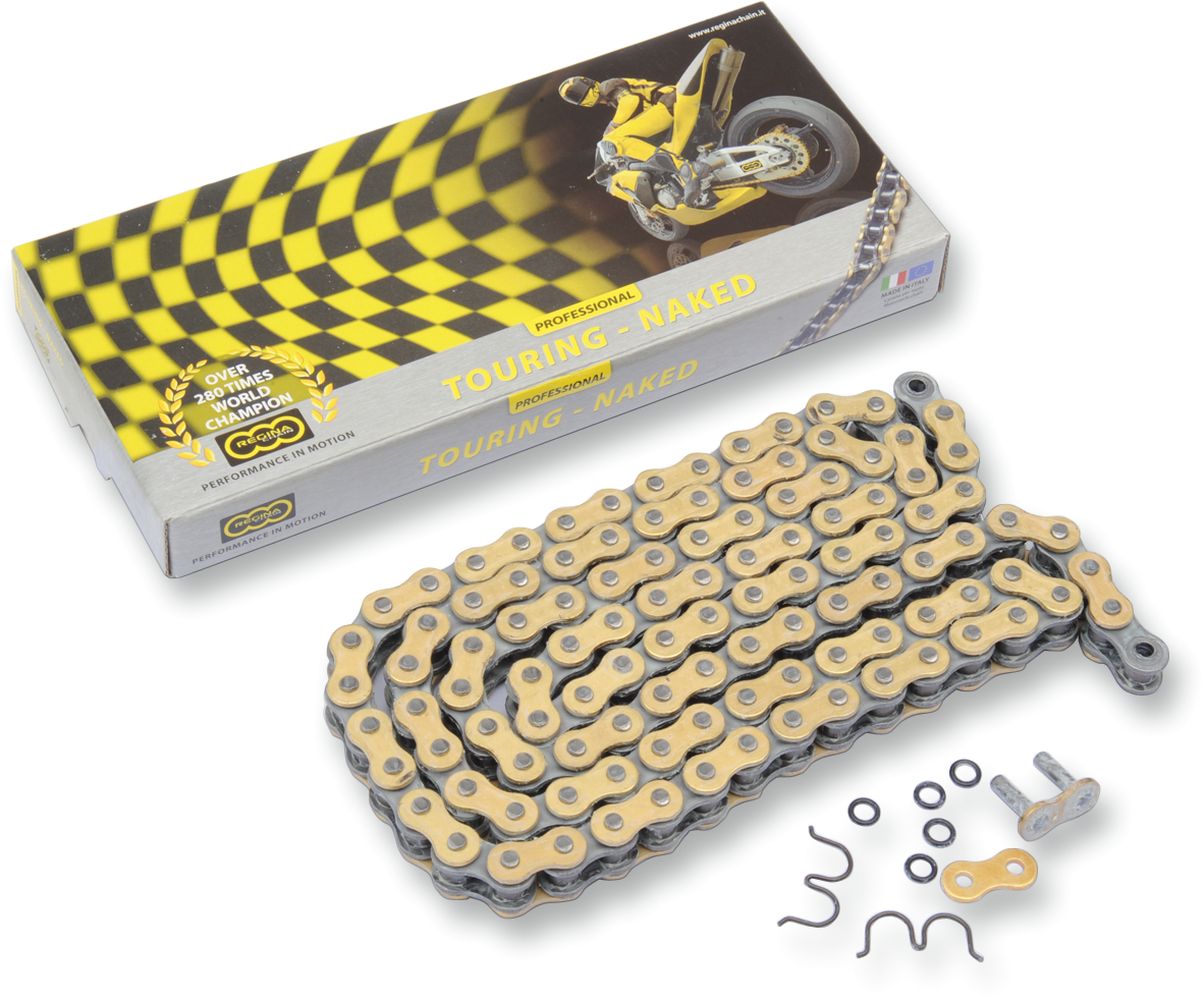 REGINA 530 RT - Drive Chain - 110 Links 136RT/1006
