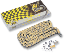 REGINA 530 RT - Drive Chain - 110 Links 136RT/1006
