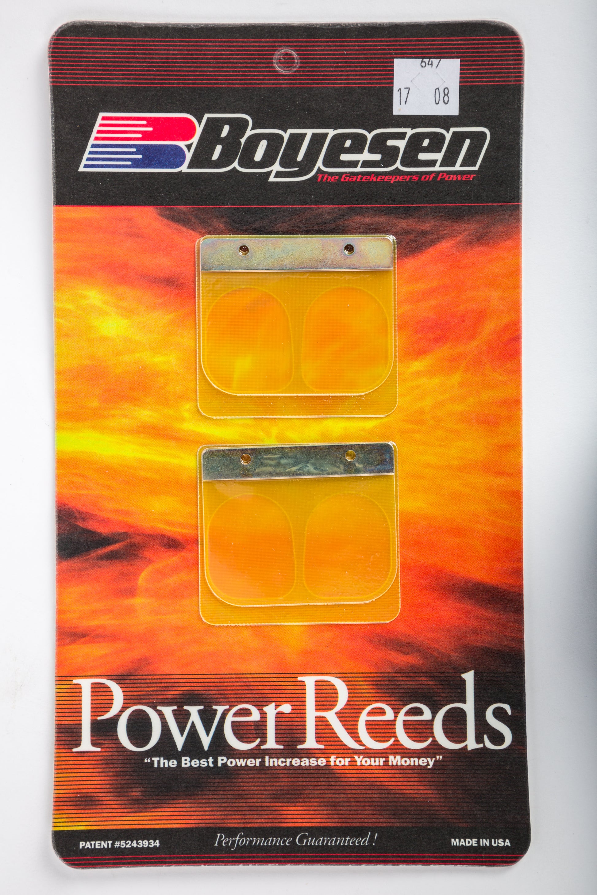Motorcycle Reeds