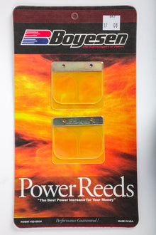 Motorcycle Reeds