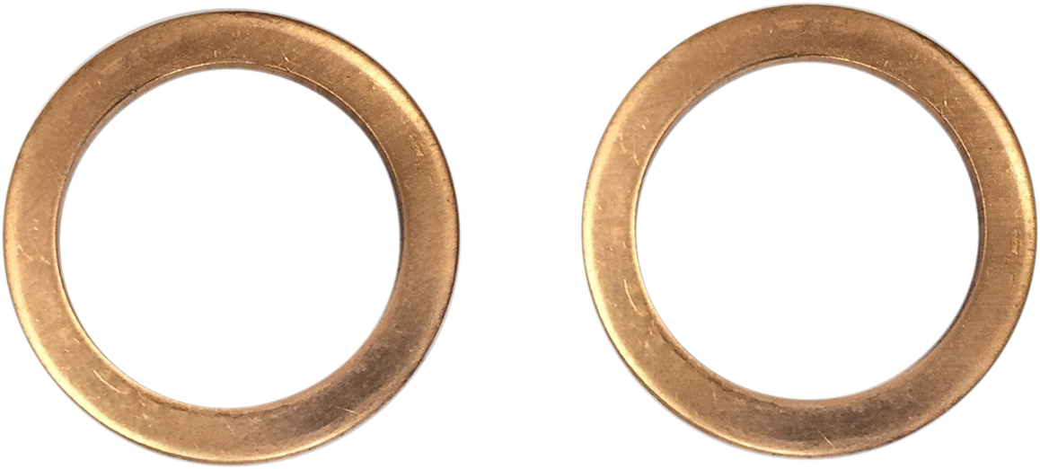 DRAG SPECIALTIES Replacement Fork Damper Tube Mount Washers - 14 mm C23-0236NU-2W