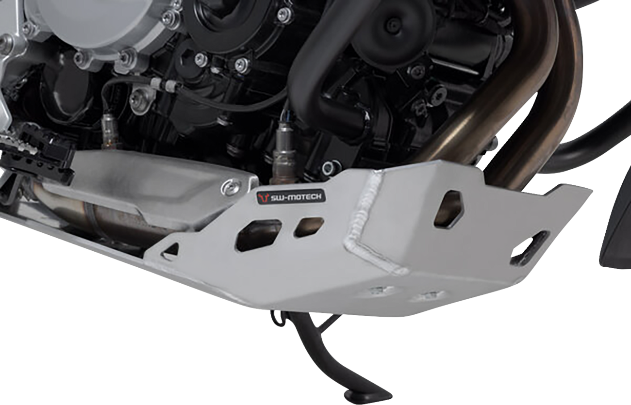 SW-MOTECH Engine Guard - Silver - BMW - 750/850/900 GS MSS.07.897.10002/S