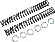 RACE TECH Fork Springs - 1.00 kg/mm FRSP S4031100