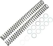 RACE TECH Fork Springs - 0.46 kg/mm FRSP 434646