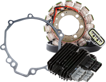 RICK'S MOTORSPORT ELECTRIC Electrical Kit - ZX6R 99-204