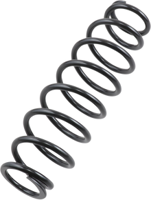 EPI Front/Rear Spring - Heavy Duty - Black - Spring Rate 120 lb/in WE325117