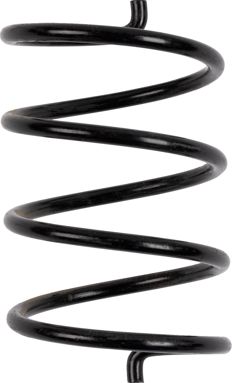 BIKEMAN PERFORMANCE Secondary Clutch Spring 05-BLACKTS