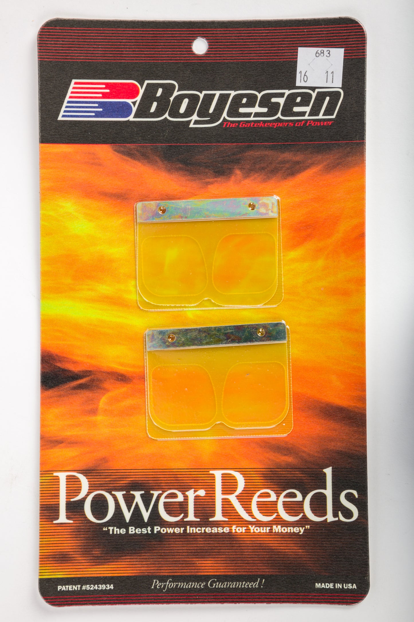 Motorcycle Reeds