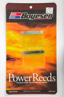 Motorcycle Reeds