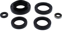 Oil Seal Set