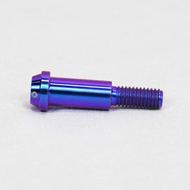 Proti M6 Universal Bolt M6L31-OTB01
