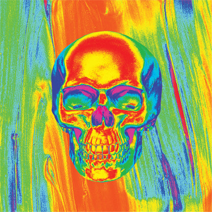 Poly Micromesh Thrml Flydanna Skull
