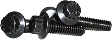 12 Point Front Rotor Bolts Black  5/16 18x1