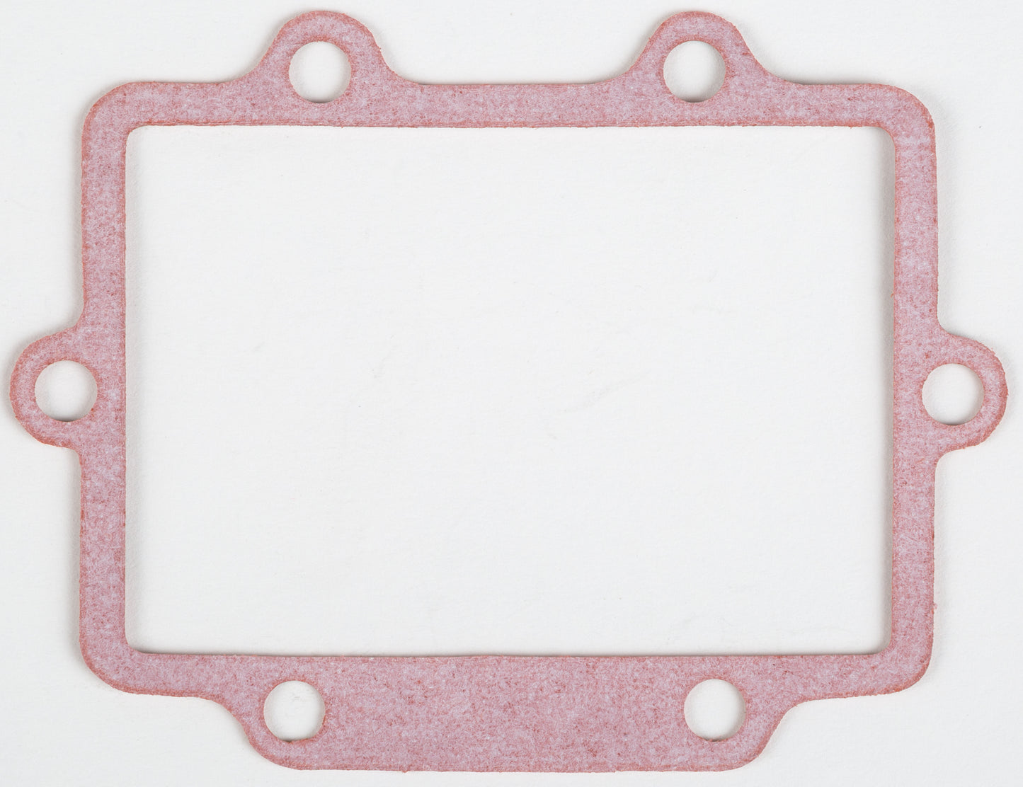 Motorcycle Rad Gasket