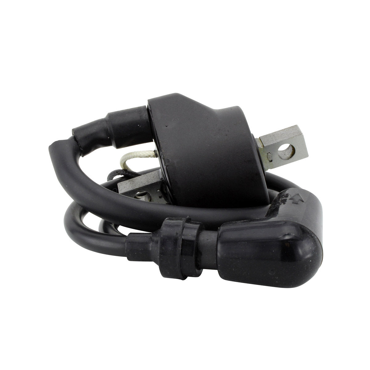 External Ignition Coil W/Spark Plug Cap