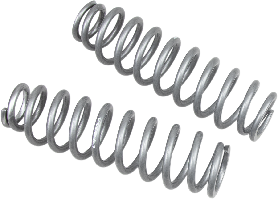 HIGH LIFTER Shock Springs - Rear - Silver 79-13838