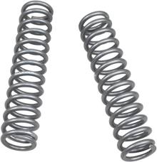HIGH LIFTER Shock Springs - Front - Silver 79-13772