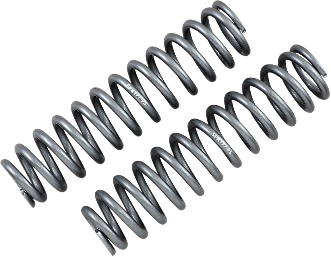 HIGH LIFTER Shock Springs - Front - Silver 79-13865